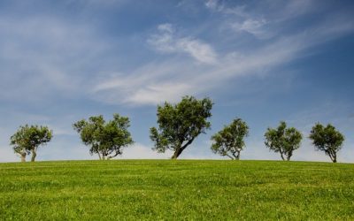 Connaissez-vous le Syndicat National de l’Environnement (SNE)?