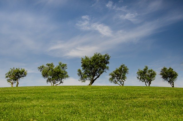 Connaissez-vous le Syndicat National de l’Environnement (SNE)?