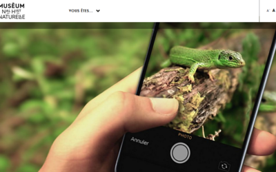 L’application INPN Espèces fait de vous un explorateur observateur de la biodiversité