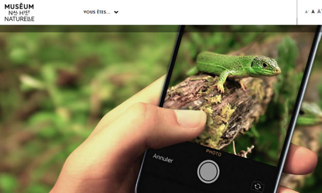 L’application INPN Espèces fait de vous un explorateur observateur de la biodiversité