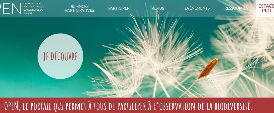 Découvrez OPEN un site pour participer à l’observation de la biodiversité