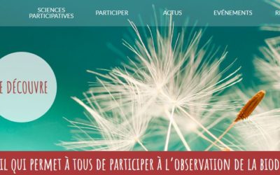 Découvrez OPEN un site pour participer à l’observation de la biodiversité