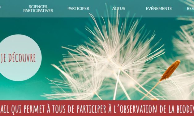 Découvrez OPEN un site pour participer à l’observation de la biodiversité